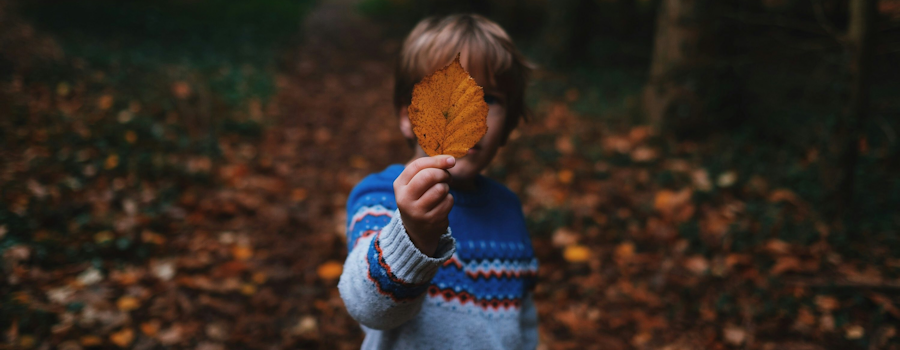 Discipline vs. Child Abuse